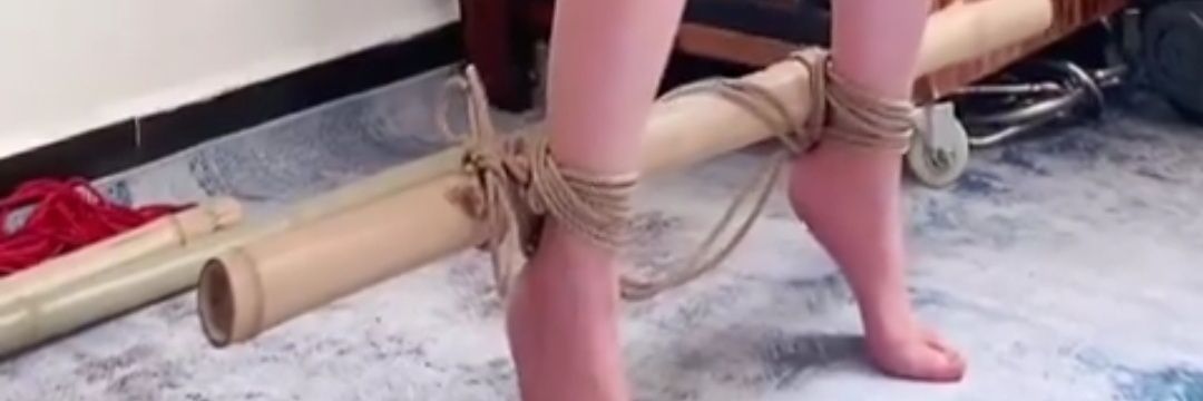 二哈被抓到了 banner