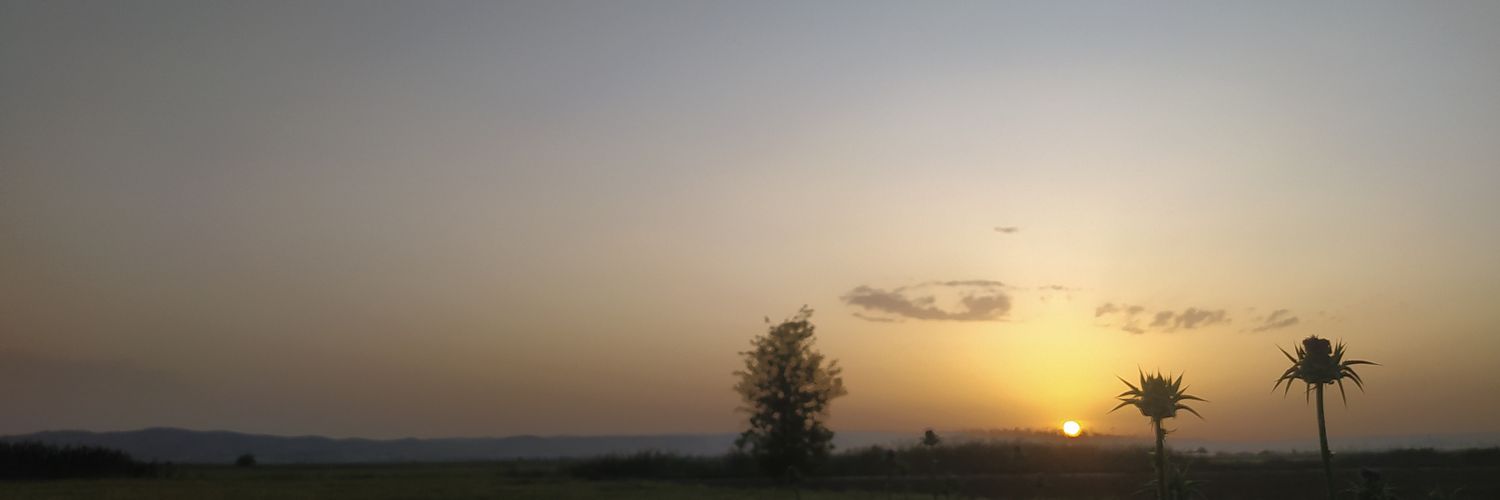 Meri00223520's profile banner image