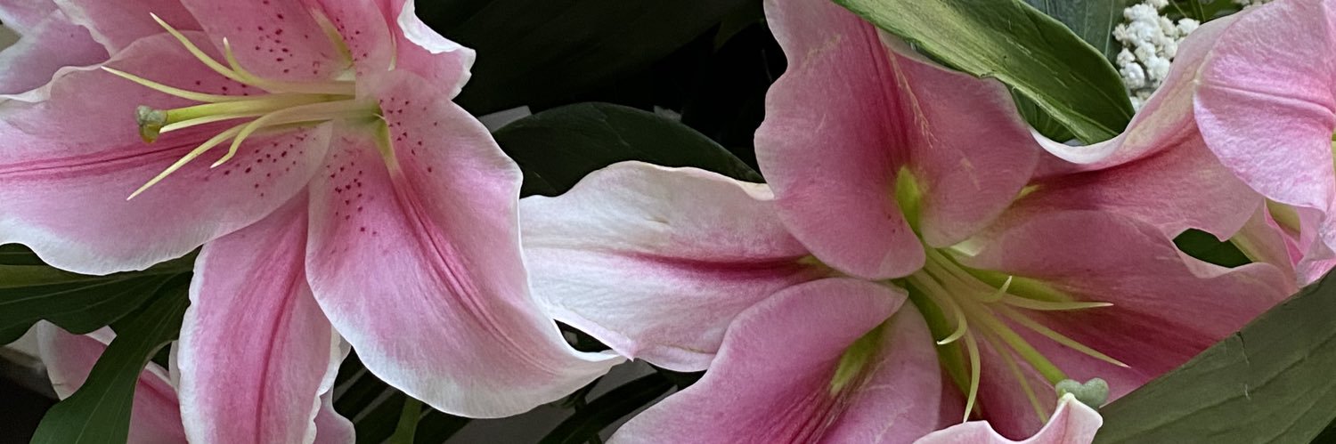 Quema_dillas's profile banner image