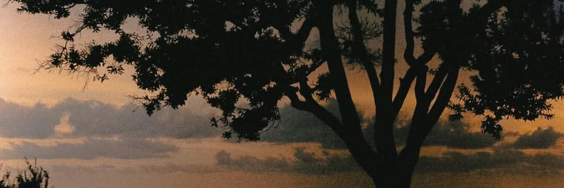 p0wsa's profile banner image
