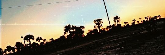 WilsonBirthmark's profile banner image