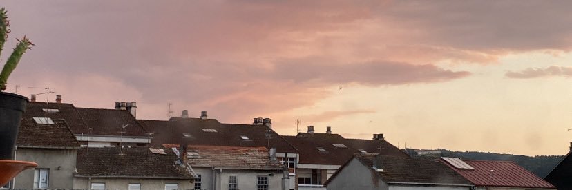 leiree banner