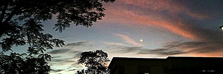 D_Morningstar01's profile banner image