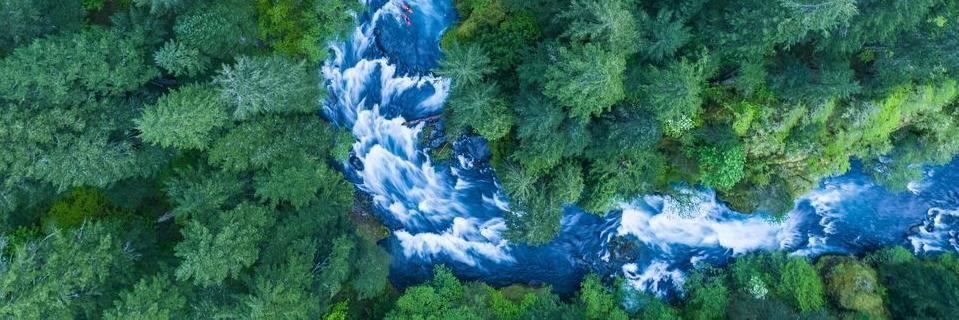 forrestfaber's profile banner image