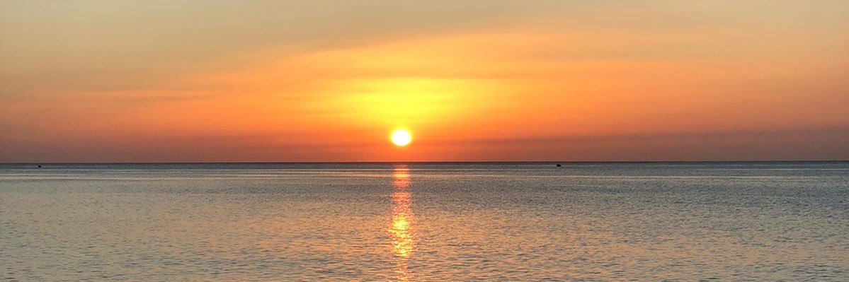 Sunhajiste's profile banner image