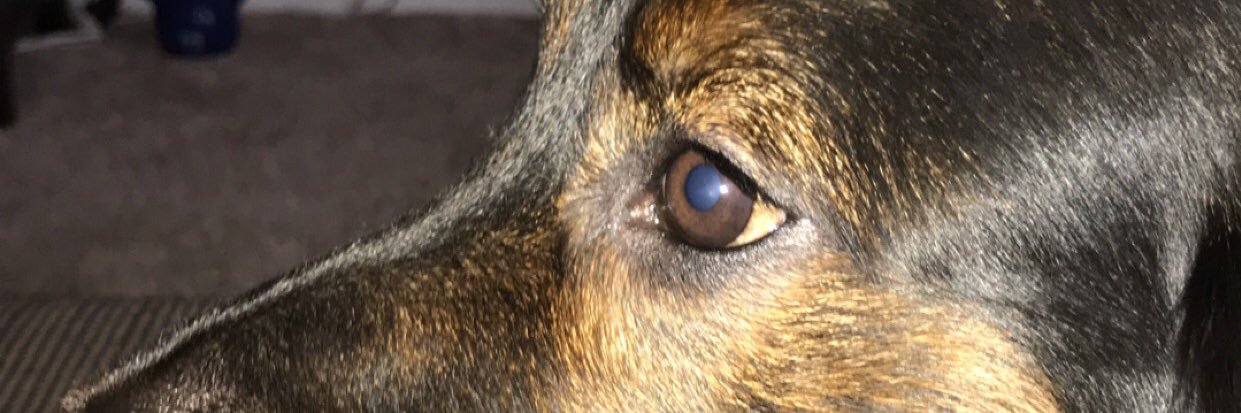lucasmarko_'s profile banner image