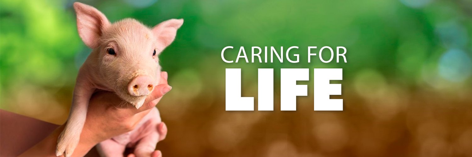 Choice Genetics banner