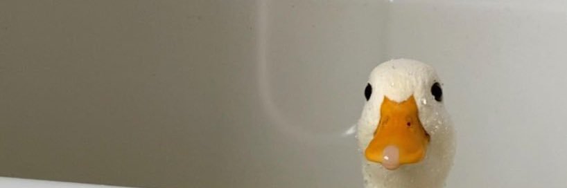 jjaymeme's profile banner image