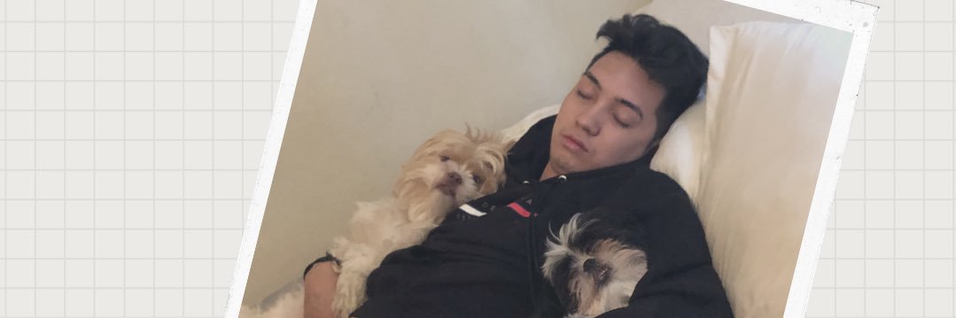 armidawhat's profile banner image