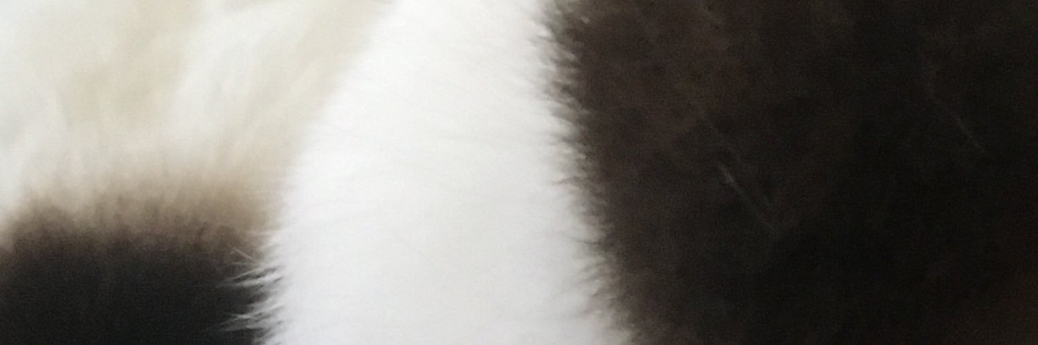 🐇 首ちゃん 🐇's banner