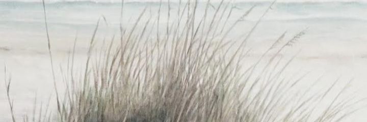 Pixiegirl 🇭🇲 🏴󠁧󠁢󠁳󠁣󠁴󠁿 banner