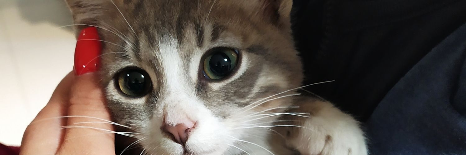EdithSoltero95's profile banner image