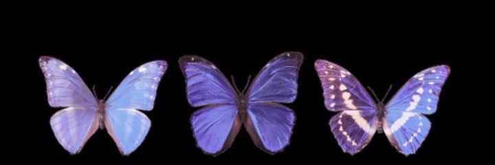 lljj_18's profile banner image