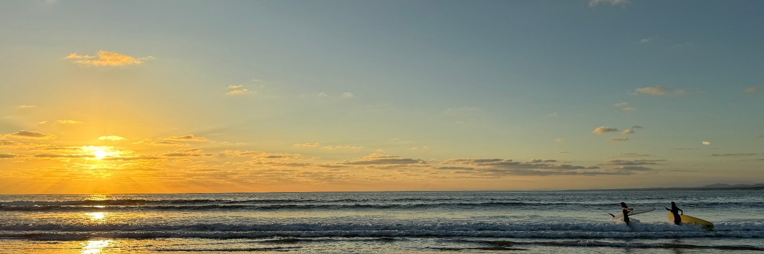 Alejandro Ribó banner