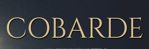 SinTraidoras's profile banner image