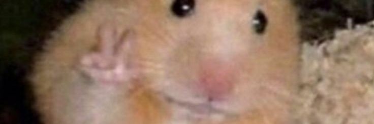 srrhdh_'s profile banner image