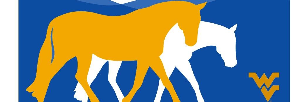 WVUEq's profile banner image