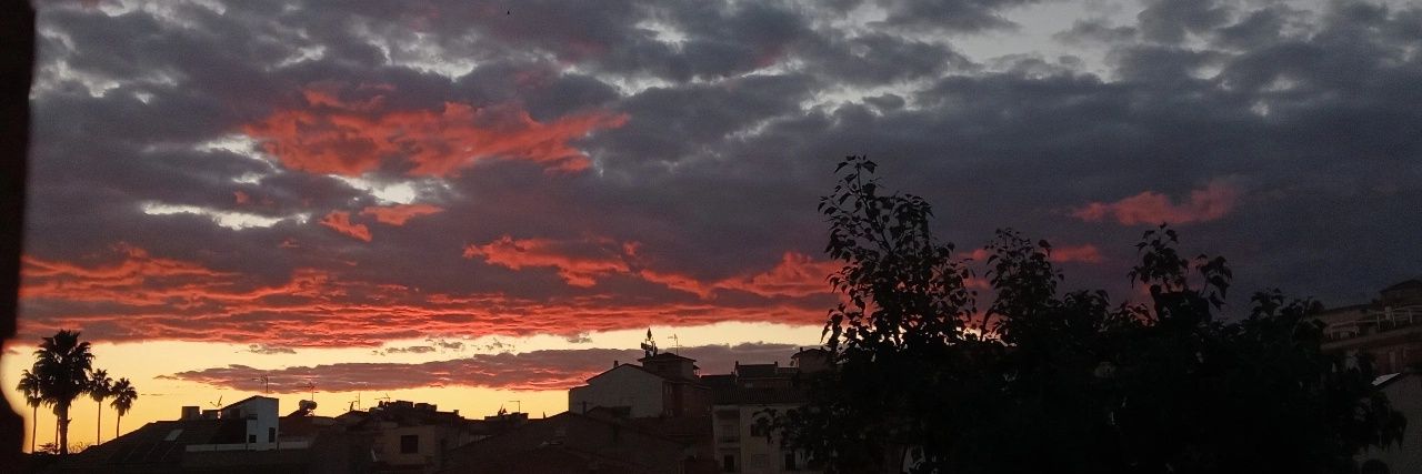 María🦋 banner