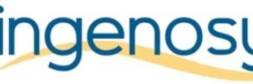 Ingenosya_SSII's profile banner image