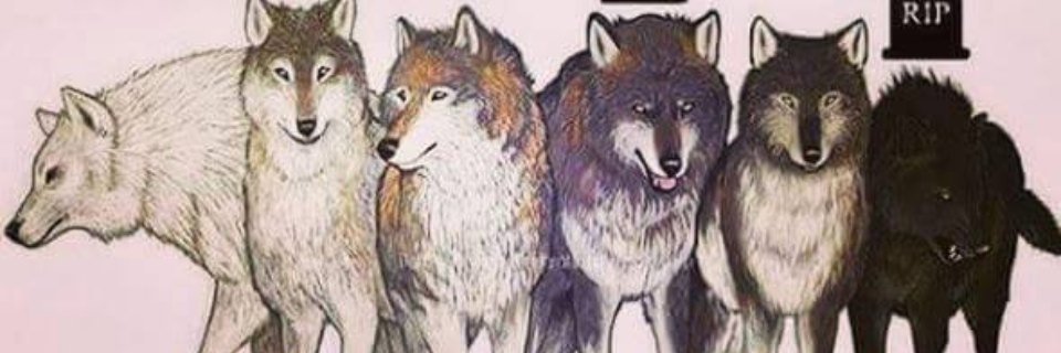 Fanny_Rob2's profile banner image