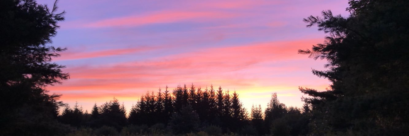 k_rice02's profile banner image