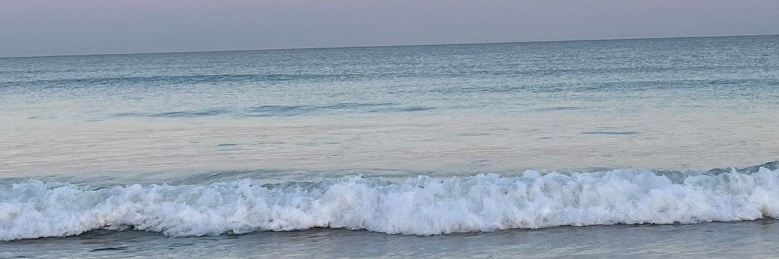 XaaandMerin's profile banner image