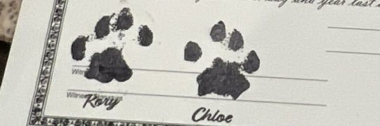 EmmyMadison14's profile banner image