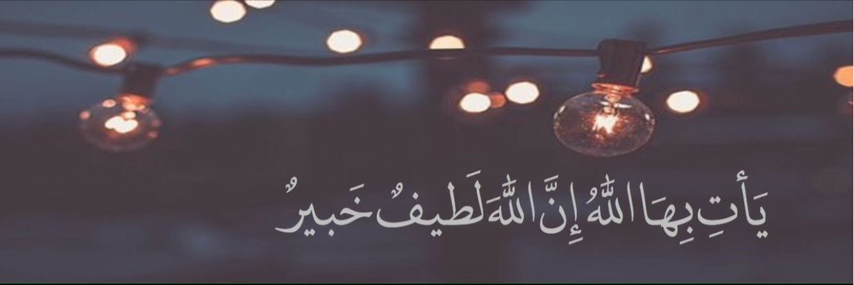 ZZ_zz66's profile banner image