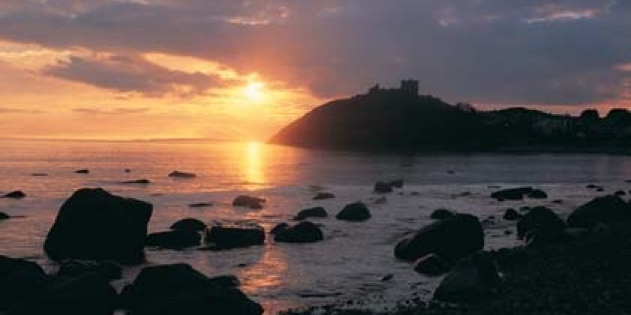 David Webster banner