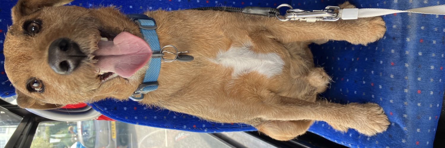 Filbert Lakeland banner