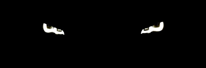 kevsdiggy's profile banner image
