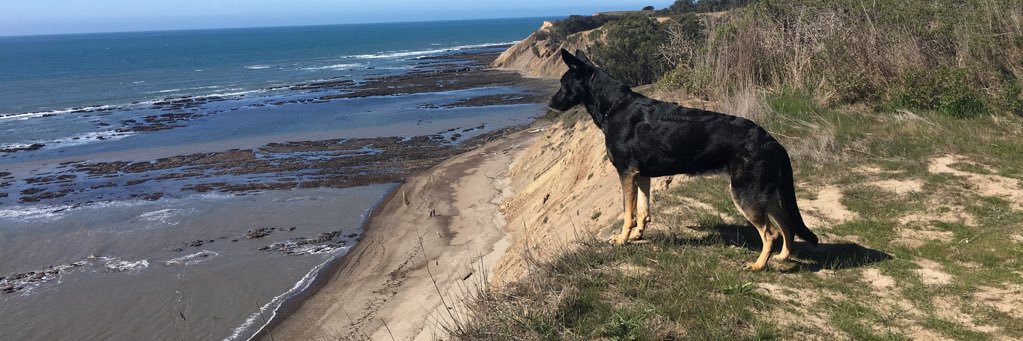allisuncoote's profile banner image