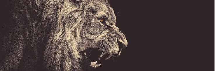 Jsotello_30's profile banner image