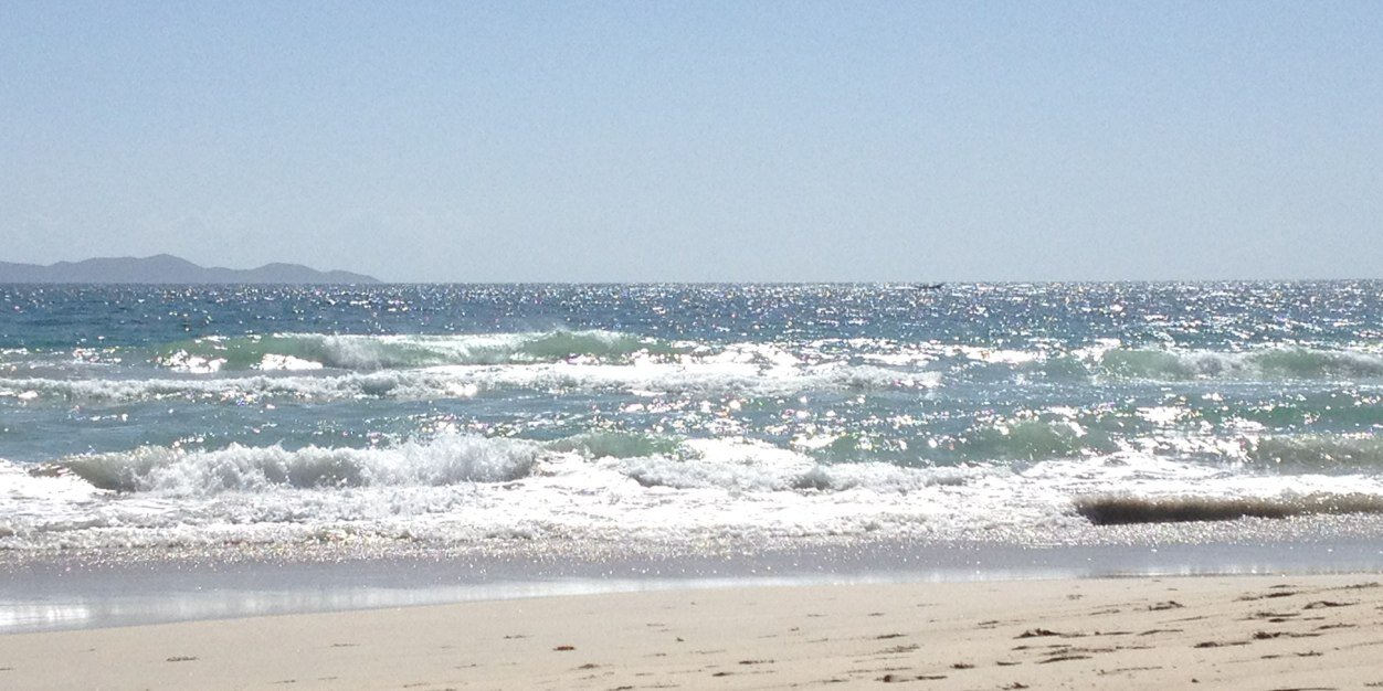 alberto afiuni banner