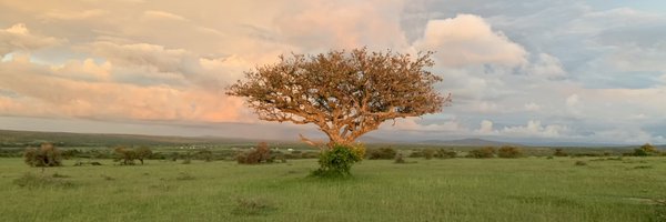 salimjivanji Profile Banner