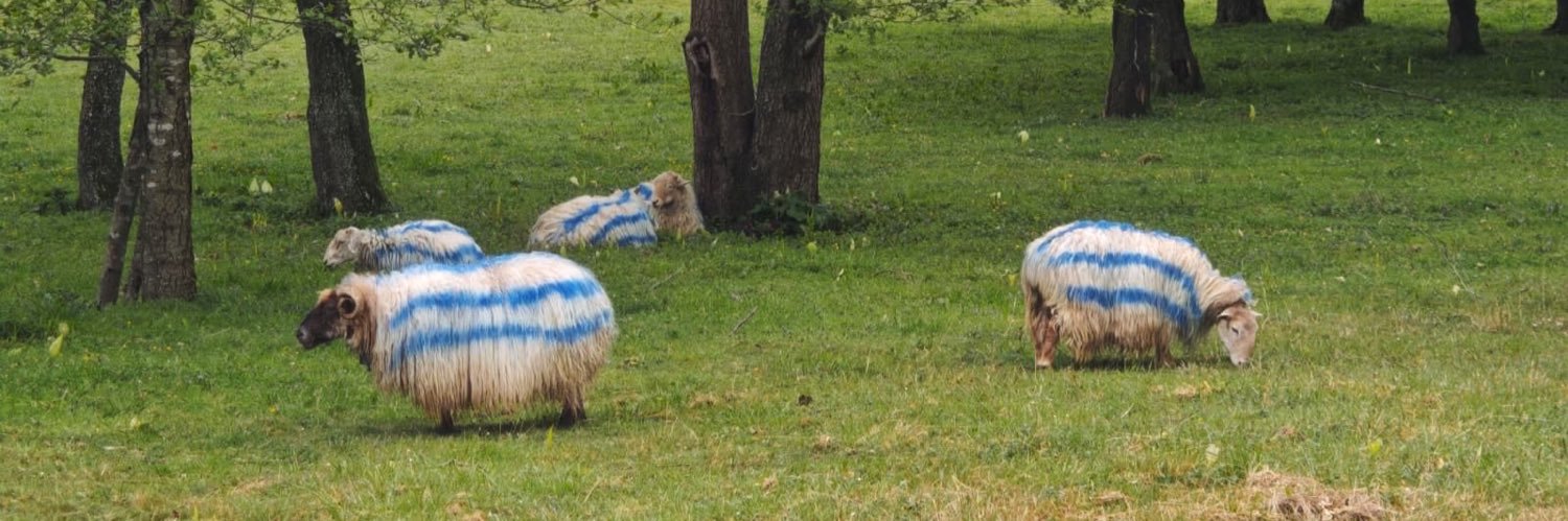 Azkoitiko Beckenbauer banner