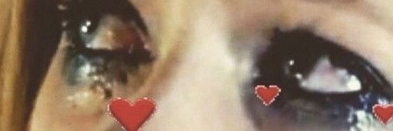 portal zacarias banner