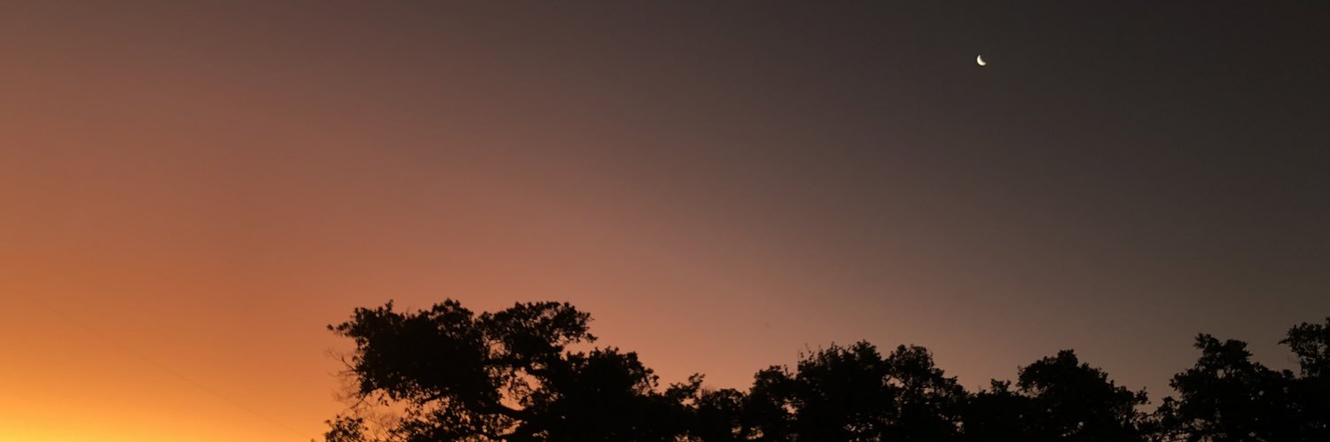 feyhn's profile banner image