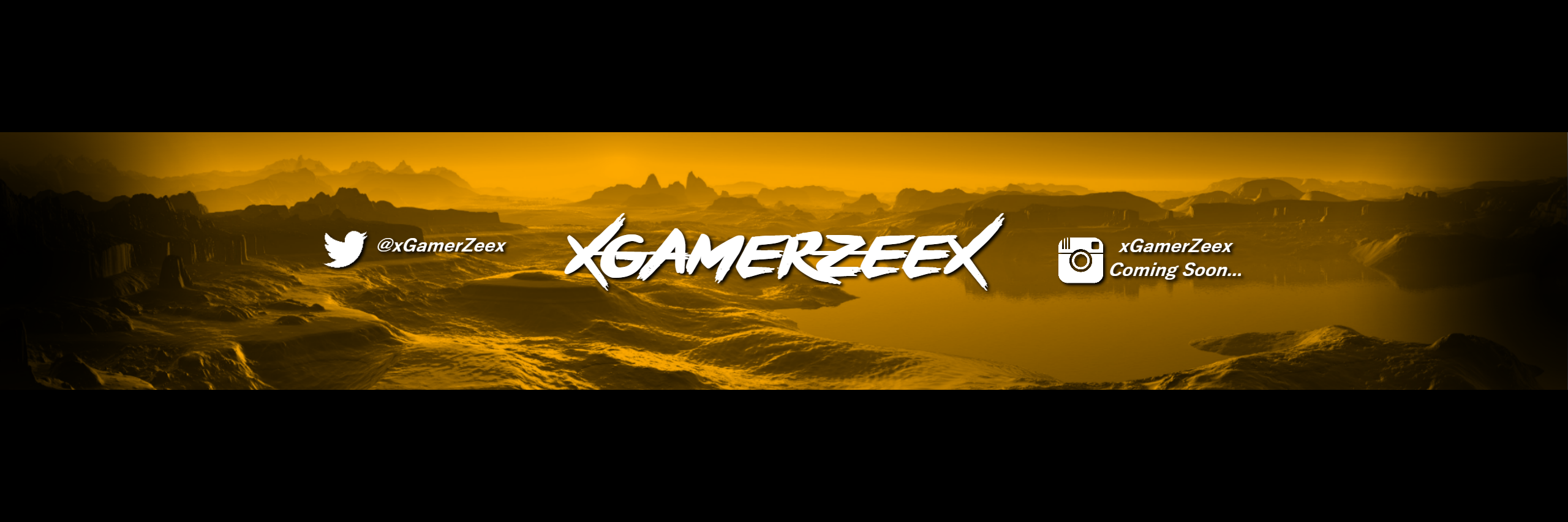 xGamerZeex's profile banner image