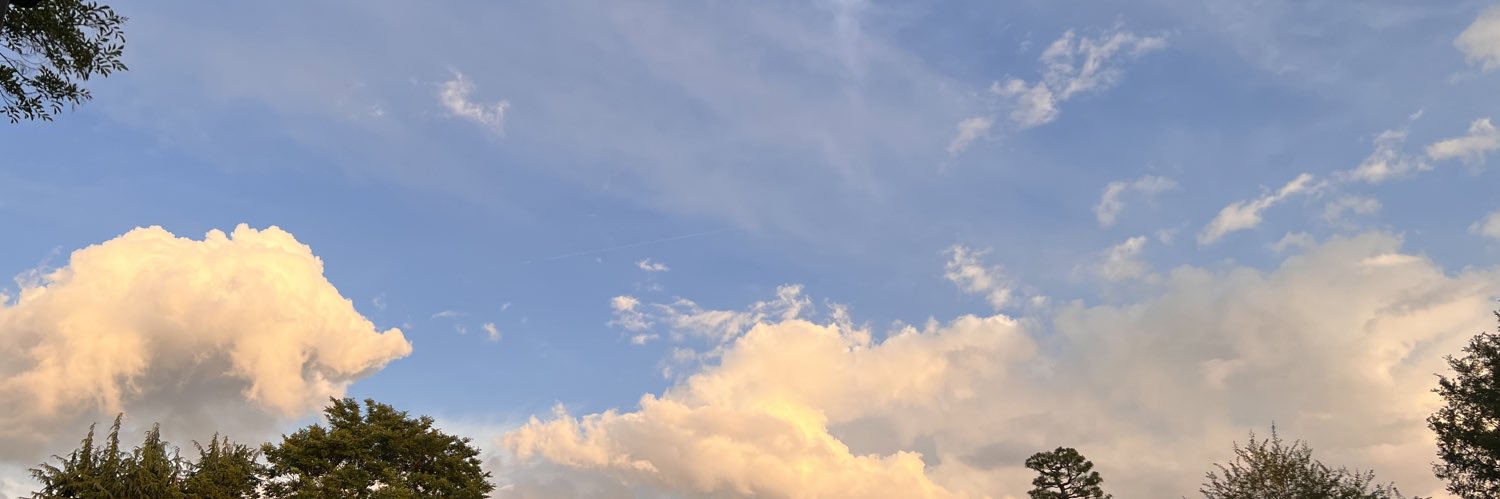 chihiro_treeX's profile banner image