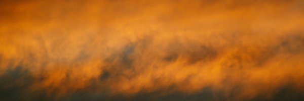 7raggedtigger Profile Banner