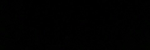 fishnajafishwhatthefish banner