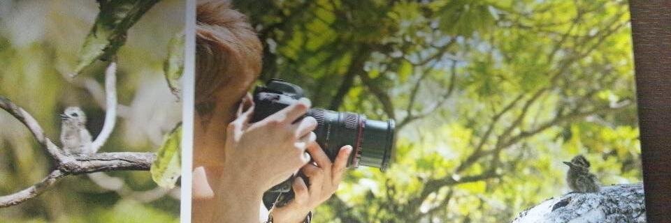 junchan329's profile banner image