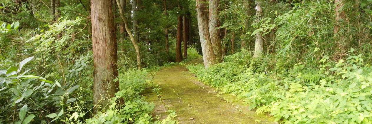 tostake's profile banner image