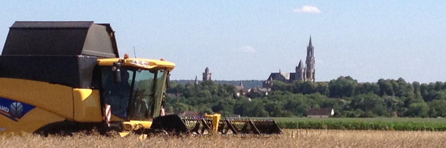 Pierrot ROLAND banner