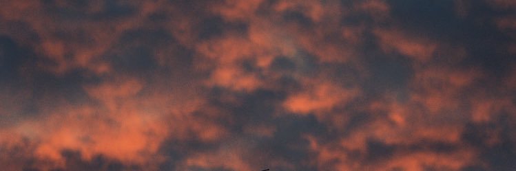 clarafombellida's profile banner image