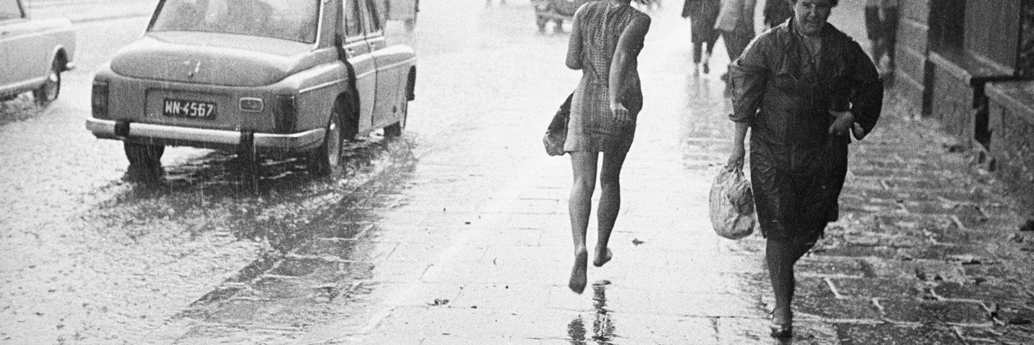 Sandra Sawicka banner