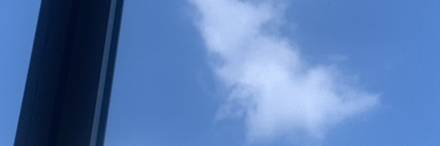 n e u banner