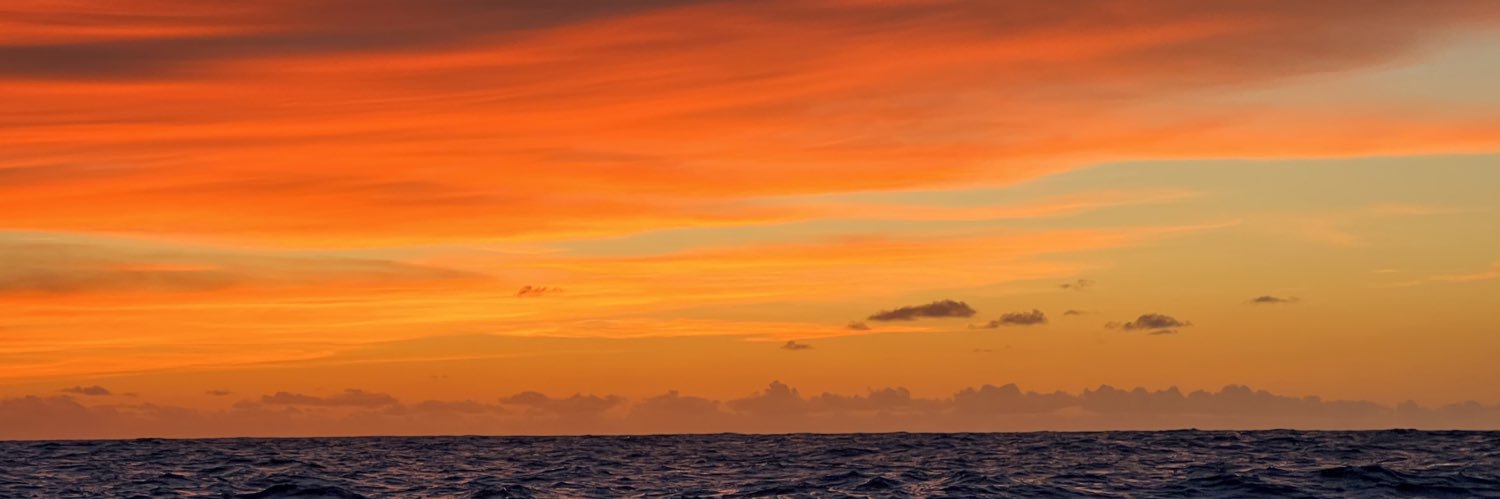 EmmyFeddor's profile banner image