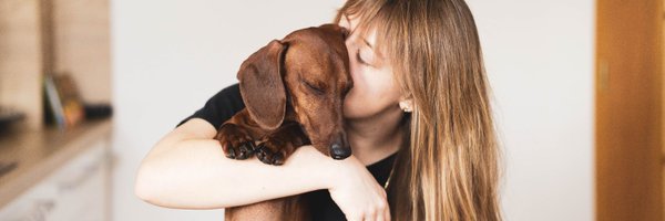 TheVidiVet Profile Banner